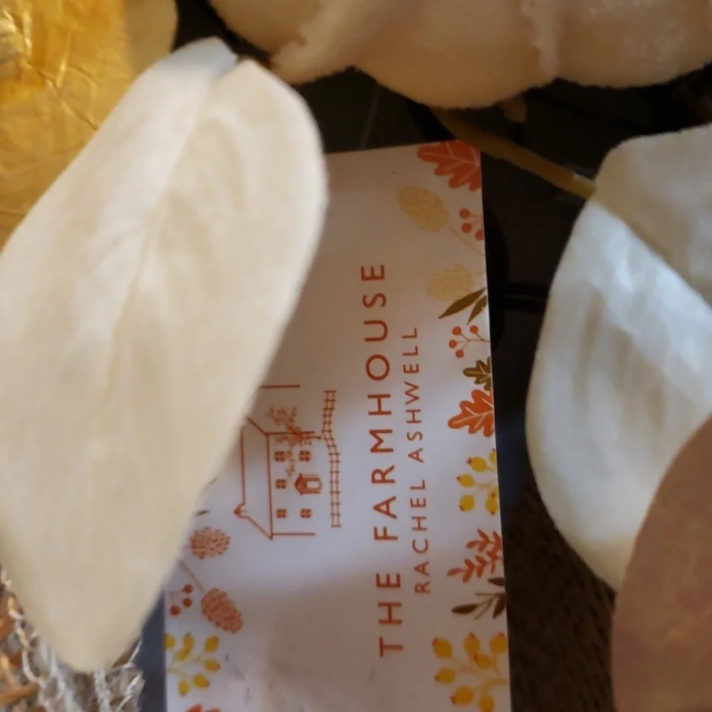 The Farmhouse Rachel Ashwell NWT Ivory Pumpkins, Mums Fall Leaves Lighted Wreath - Picture 3 of 7